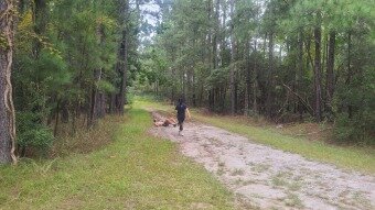 20220917_130918 20220917_130918