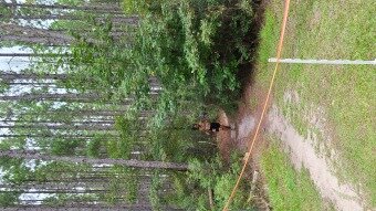 20220917_133407 20220917_133407